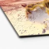 Glas-Art Sea Harmony 30 x 30 Glasbild ^ Pro-Art Best