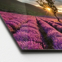 Glas-Art Silence 50 x 125 cm Glasbild ^ Pro-Art Online