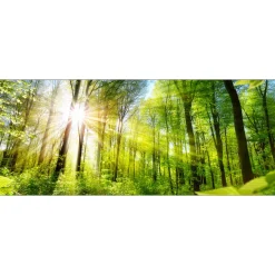 Glas-Art Towards The Sun 50 x 125 cm Glasbild ^ Pro-Art Hot