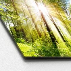 Glas-Art Towards The Sun 50 x 125 cm Glasbild ^ Pro-Art Hot