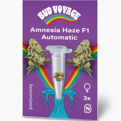 Hanfsamen BudVoyage Amnesia Haze F1 Auto3 Samen ^ Bud Voyage Outlet
