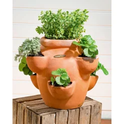 Erdbeer- und Kräutertopf Giardino ^ Haveson Best