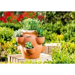 Erdbeer- und Kräutertopf Giardino ^ Haveson Best