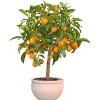 Pflanztopf Bavaria Durchmesser 50 cm ^ Haveson Hot