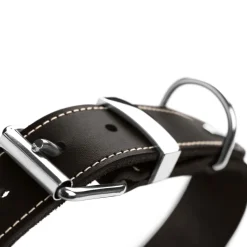 Halsband Aalborg Special schwarz Größe S ^ Hunter Online
