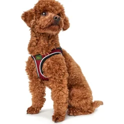 Hundegeschirr Hilo Comfort rot Größe M ^ Hunter Online