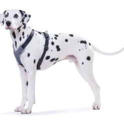 Hundegeschirr Neopren schwarz-grau Größe XS ^ Hunter
