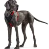 Hundegeschirr Neopren rot-schwarz Größe XS ^ Hunter Online