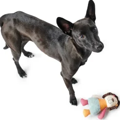 Hundespielzeug Muli Löwe mehrfarbig 18 cm ^ Hunter New
