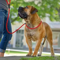 Retriever-Leine Freestyle rot 210 x 1 cm ^ Hunter Online