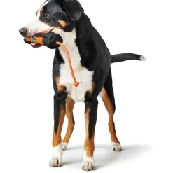Trainer Snack-Dummy mit Seil orange-schwarz 34 cm ^ Hunter