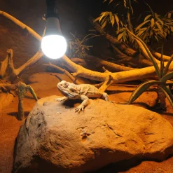 Reptil LED Daylight 13W ^ JBL Online