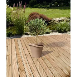 Kiefer-Terrassendiele zweiseitig genutet x 14,6 x 2,6 cm ^ Best