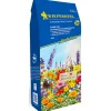 BlumenmischungZwergenmischung ^ Kiepenkerl