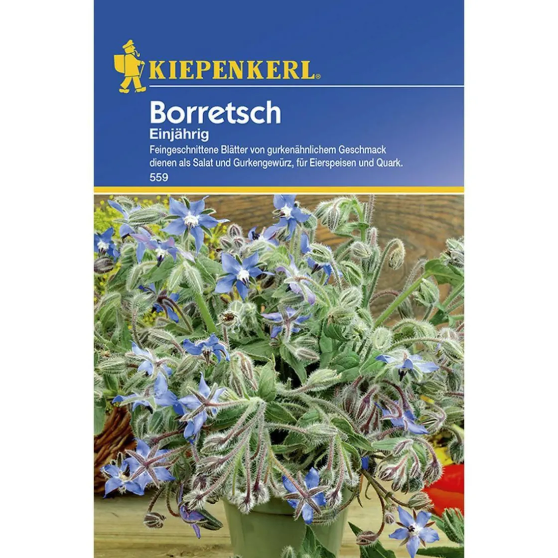Borretsch einjährig ^ Kiepenkerl