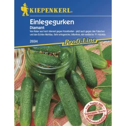 Gurken Einlegegurke Diamant F1 Profi-Line ^ Kiepenkerl