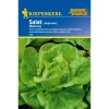Kopfsalat Maikönig ^ Kiepenkerl Online