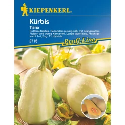 Kürbis Tiana ^ Kiepenkerl Discount