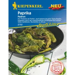 Paprika Padron ^ Kiepenkerl Hot