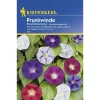 Prunkwinde Prachtmischung ^ Kiepenkerl Clearance