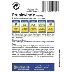 Prunkwinde Prachtmischung ^ Kiepenkerl Clearance