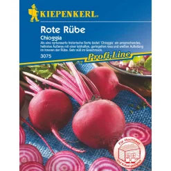 Rote Rübe Chioggiau ^ Kiepenkerl Clearance