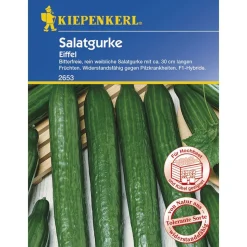 Salatgurke Eiffel F1 ^ Kiepenkerl Discount