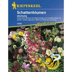 Schattenblumen Mischung Profi-Line ^ Kiepenkerl Best