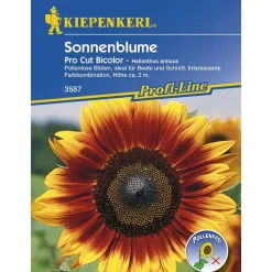 Sonnenblume Pro Cut Bicolor F1 ^ Kiepenkerl Hot