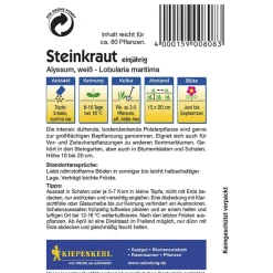 Steinkraut Alyssum weiß ^ Kiepenkerl Best