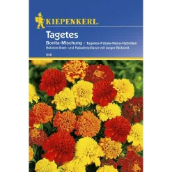 Tagetes Bonita-Mischung ^ Kiepenkerl Best