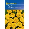 Tagetes Goldzwerg ^ Kiepenkerl