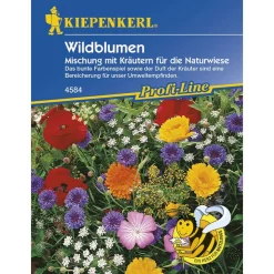 Wildblumen mit Kräutern Mischung ein-u.mehrjährig Profi-Line ^ Kiepenkerl