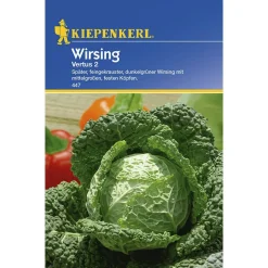 Wirsing Vertus 2 ^ Kiepenkerl Hot