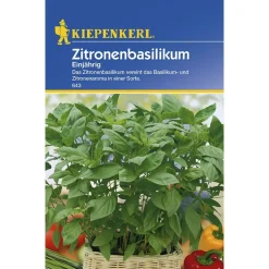 Zitronenbasilikum einjährig ^ Kiepenkerl Outlet