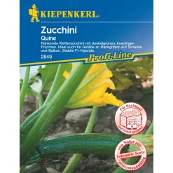 Zucchini Quine ^ Kiepenkerl Sale