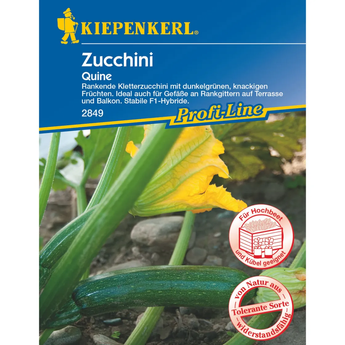 Zucchini Quine ^ Kiepenkerl Sale