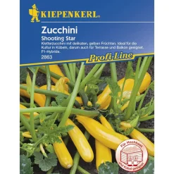 Zucchini Shooting Star ^ Kiepenkerl Best