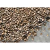 Kieswabe grau 80 x 60 cm ^ Clearance