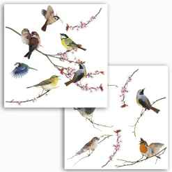 Fenstersticker Birds 31x31 cm ^ Komar Hot