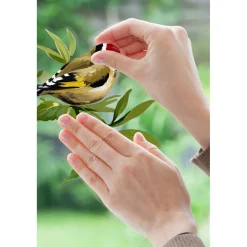 Fenstersticker Spring Fever 31x31 cm ^ Komar Discount