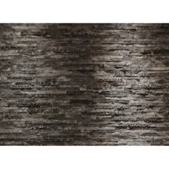 Papier-Fototapete Birkenrinde 8-teilig 368 x 254 cm ^ Komar New