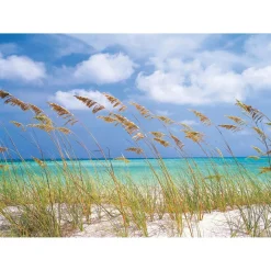Papier-Fototapete Ocean Breeze 8-teilig 368 x 254 cm ^ Komar New