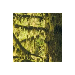 Vlies Fototapete Ancient World 400x250 cm ^ Komar Outlet