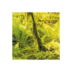 Vlies Fototapete Ancient World 400x250 cm ^ Komar Outlet