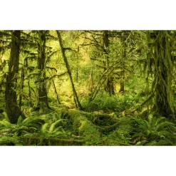 Vlies Fototapete Ancient World 400x250 cm ^ Komar Outlet