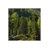 Vlies Fototapete Bergmagie 450x280 cm ^ Komar