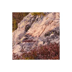 Vlies Fototapete Between the Light 450x280 cm ^ Komar Outlet