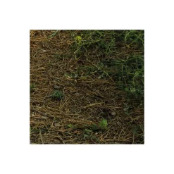 Vlies Fototapete Blütenzauberwald 450x280 cm ^ Komar Hot
