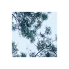 Vlies Fototapete Blue Waters 400x250 cm ^ Komar Online